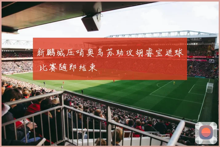 新鹏城压哨奥乌苏助攻胡睿宝进球 比赛随即结束