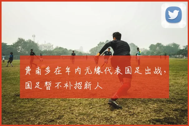 费南多在年内无缘代表国足出战，国足暂不补招新人